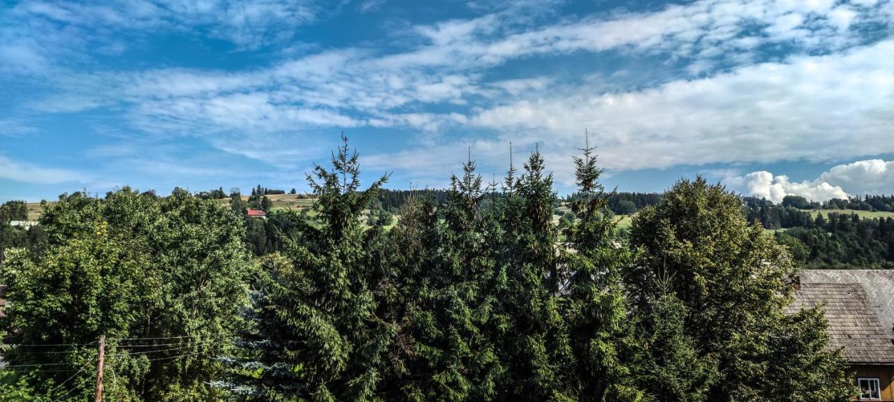 Watra Noclegi Bialy Dunajec Exterior photo